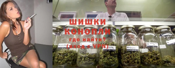 не бодяженный Белокуриха